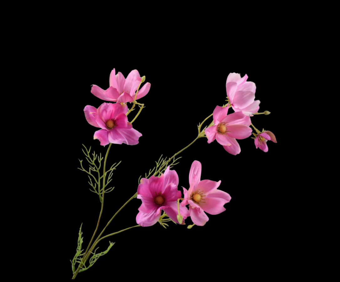 Zijde Cosmos roze 56 cm