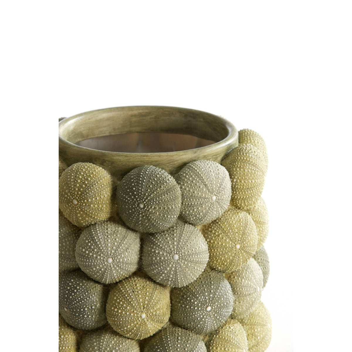 Vaast URCHIN groen M