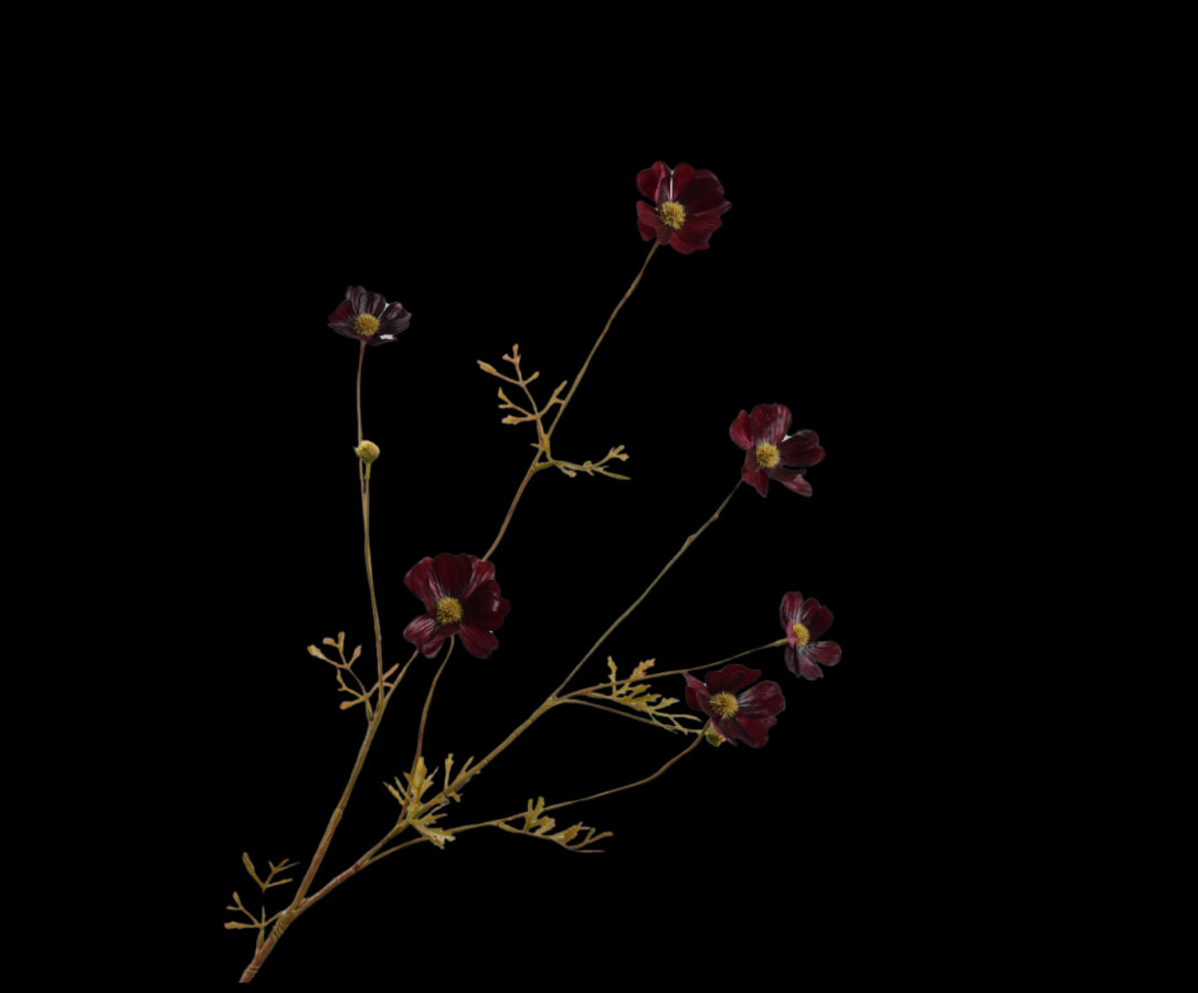 Zijde Cosmos tak Bordeaux 77 cm