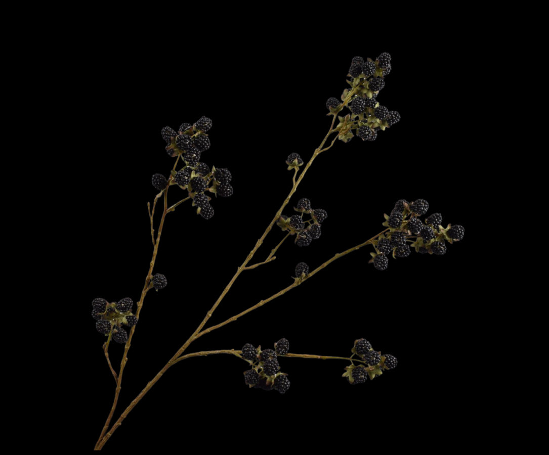 Zijde Bramentak zwart 107