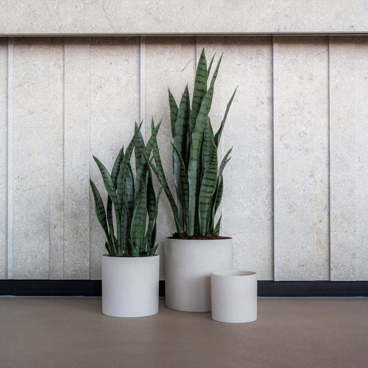 Pot Puk M Beige