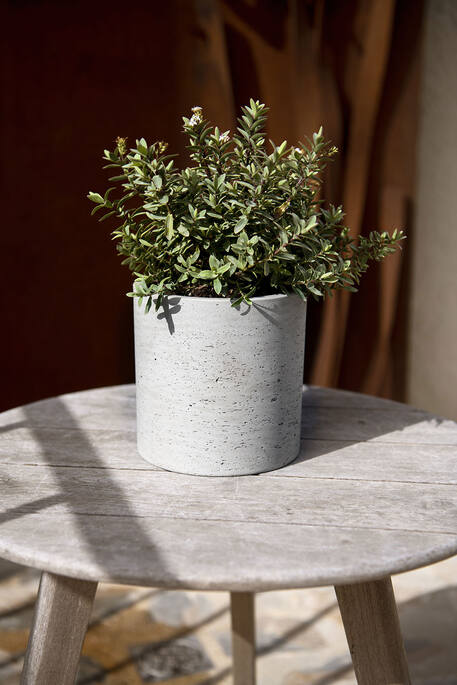 Pot Max M Grey