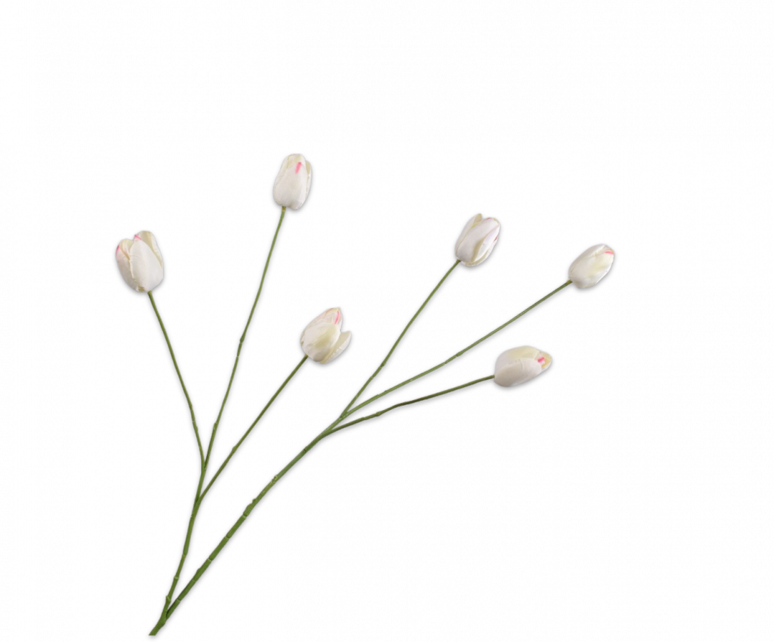 Zijde Tulp Wit 100cm