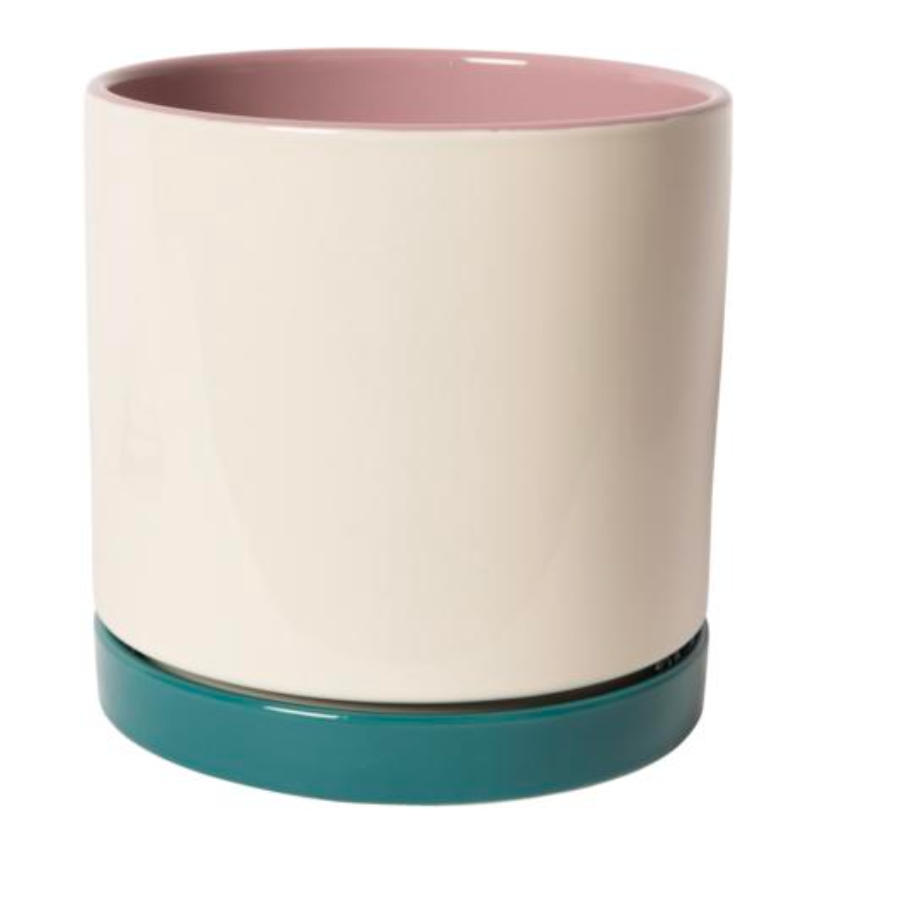 Bloempot Wit Petrol roos XS