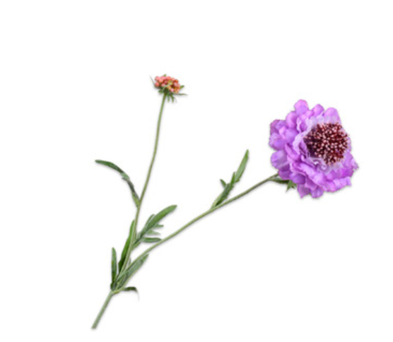 Zijde Scabiosa tak Lila
