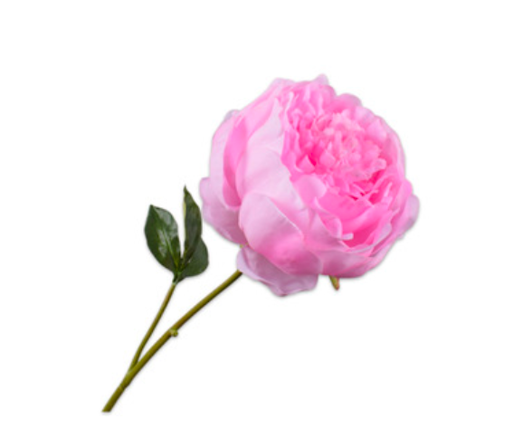 Zijde Pioen Roze