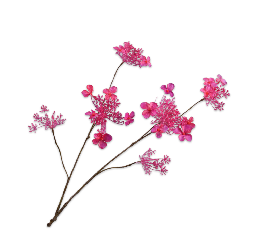 Zijde Hortensia tak fusia