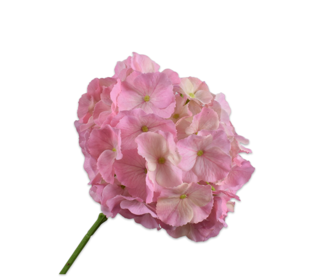 Zijde Hortensia Roos 75 cm