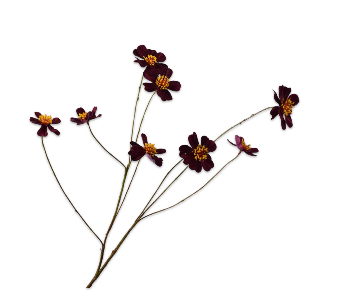 Zijde Cosmos tak bordeaux 77cm
