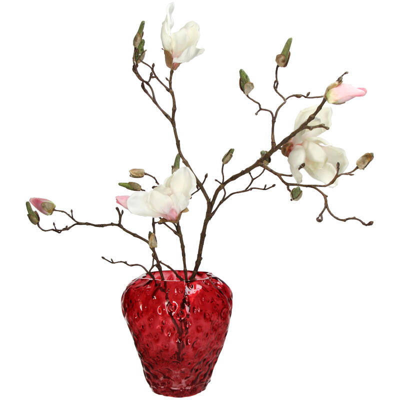 Vaas Aardbei Rood