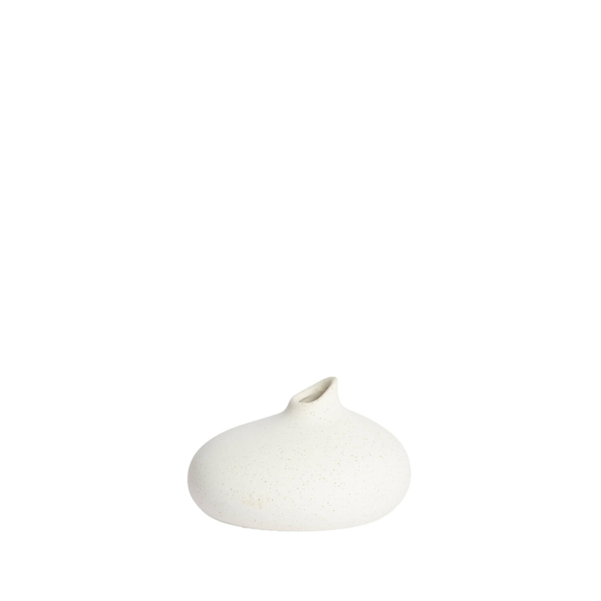 Vaas Assago Cream 1