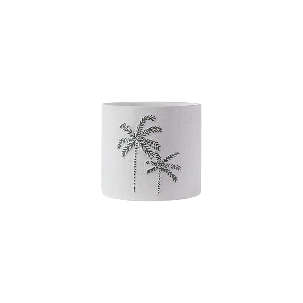 pot palm 7,5 D