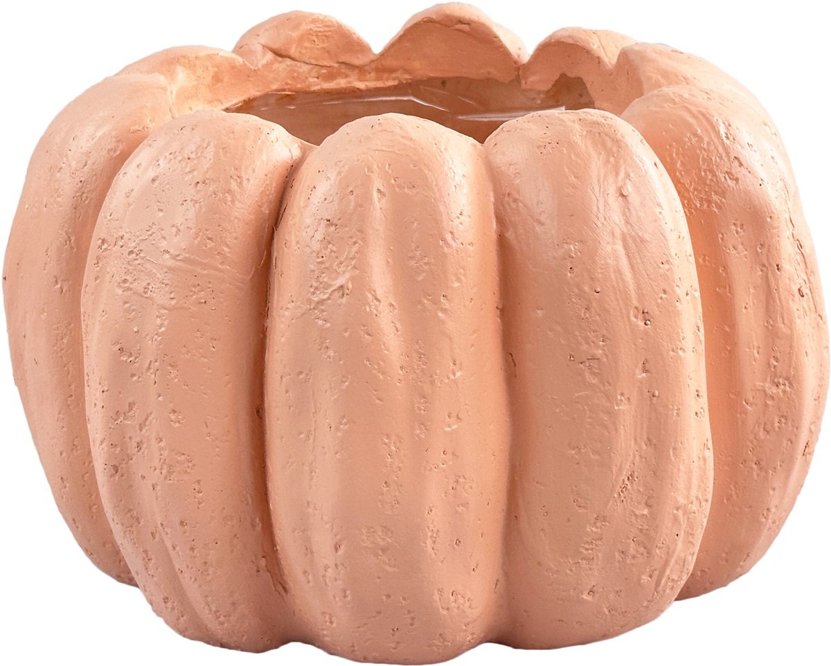 Pompoenvaas oranje