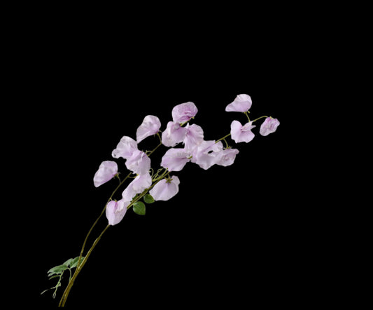 Zijde Lathyrus tak lila 121 cm