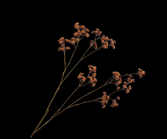 Zijde Dille tak bruin roos