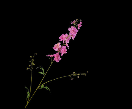 Zijde Delphinium Roze 101 cm