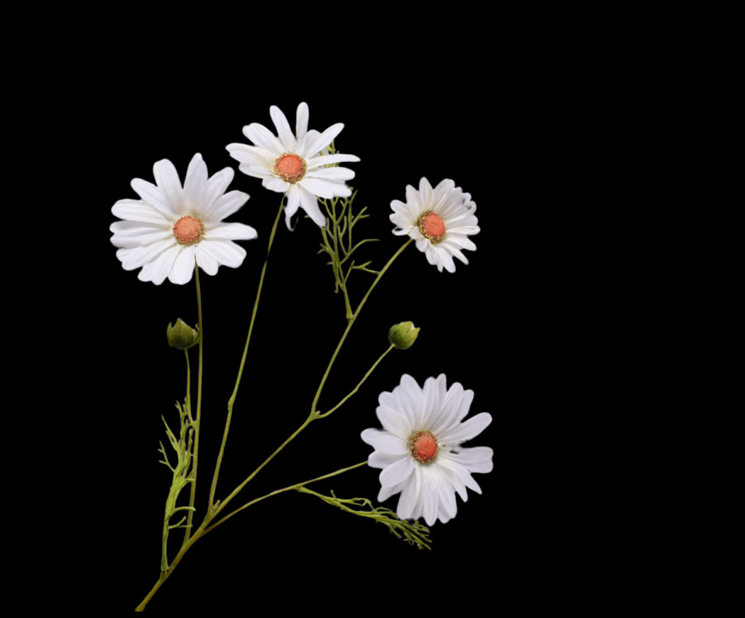 Zijde Margriet tak wit 60 cm
