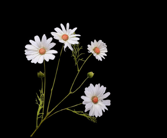 Zijde Margriet tak wit 60 cm