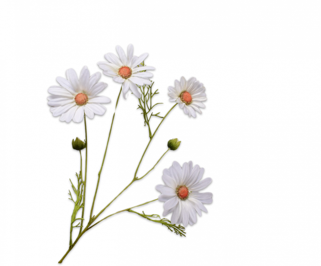 Zijde Margriet tak wit 60 cm