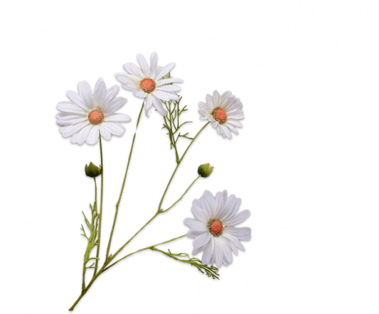 Zijde Margriet tak wit 60 cm