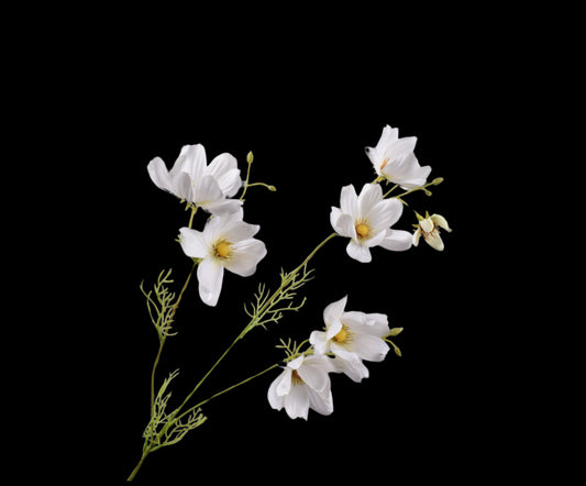 Zijde Cosmos wit 56 cm
