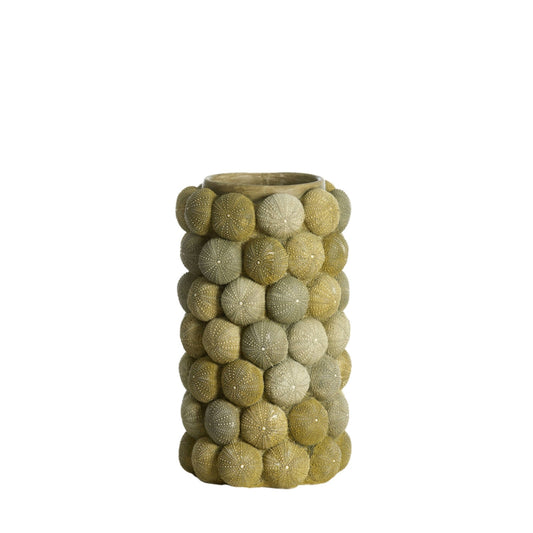 Vaast URCHIN groen M