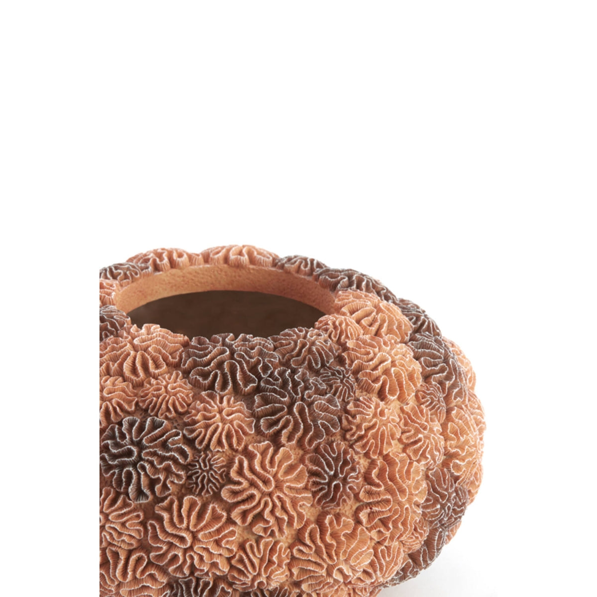 Vaas CORAL M