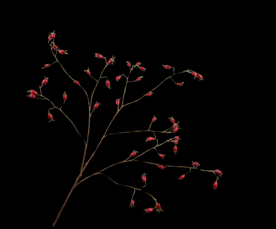 Zijde Rozenbottel ROOD  tak 106 cm