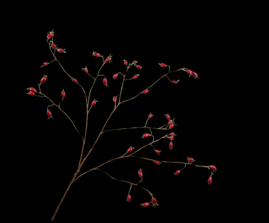 Zijde Rozenbottel ROOD  tak 106 cm