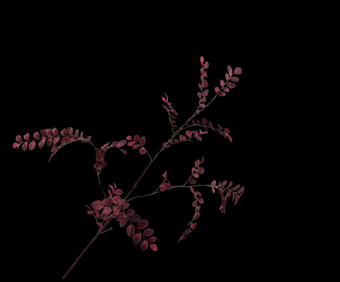 Zijde Bladtak Paars 110