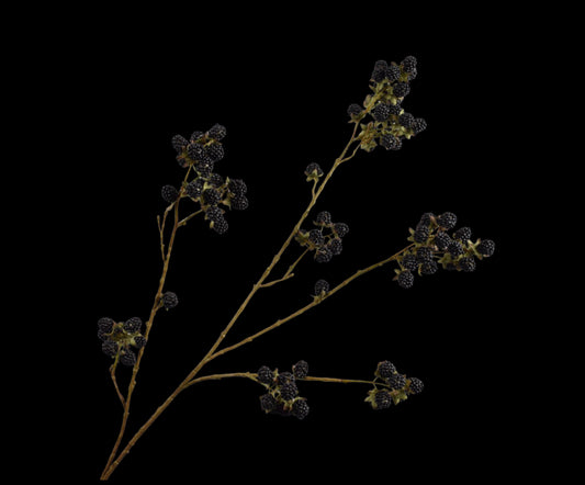 Zijde Bramentak zwart 107