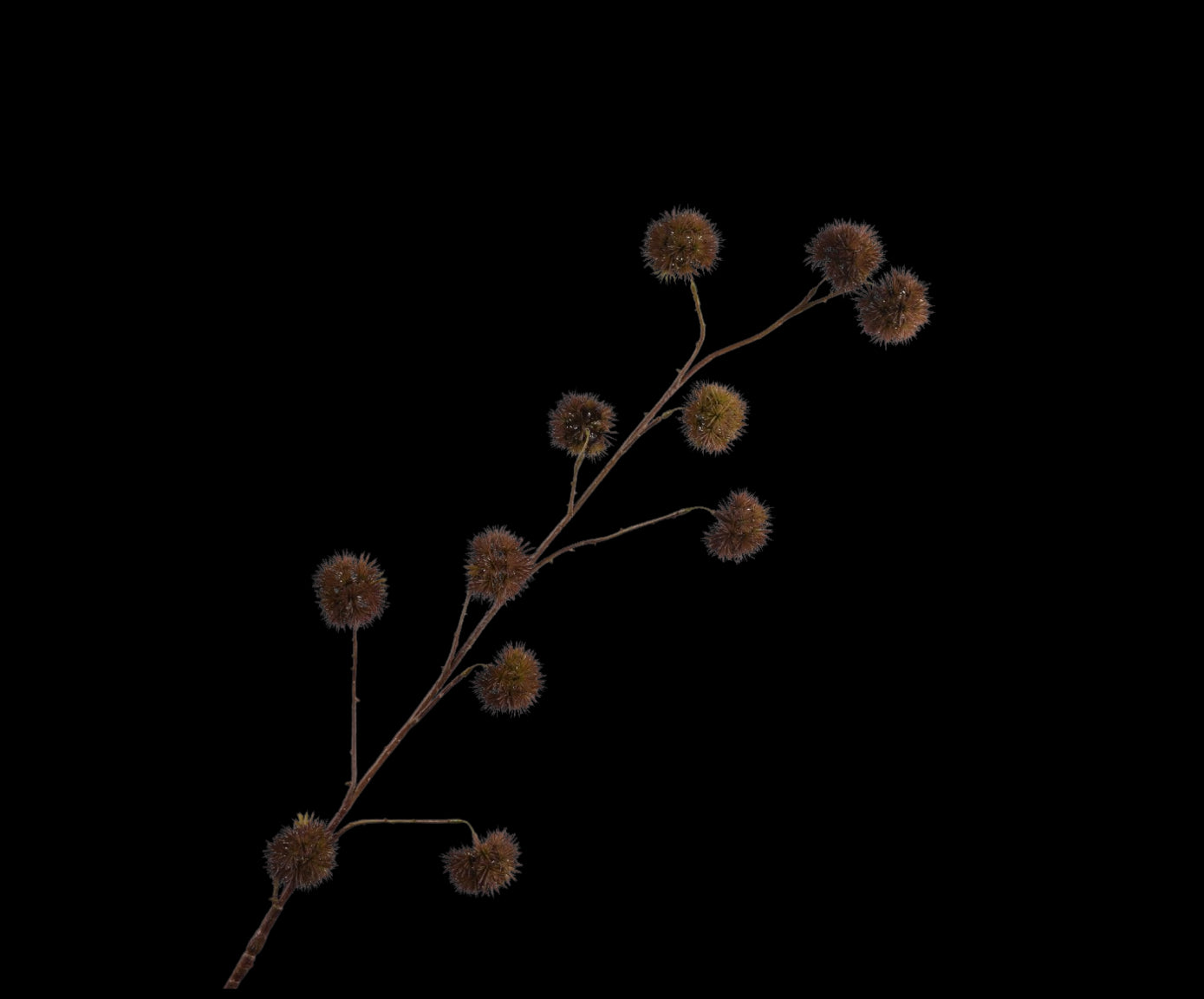 Zijde kastanje tak bruin