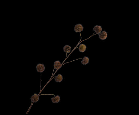 Zijde kastanje tak bruin