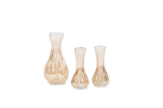 Vaas Soliflower organic Gold L