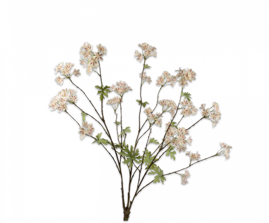 Zijde Geranium Cr/Brn 100cm