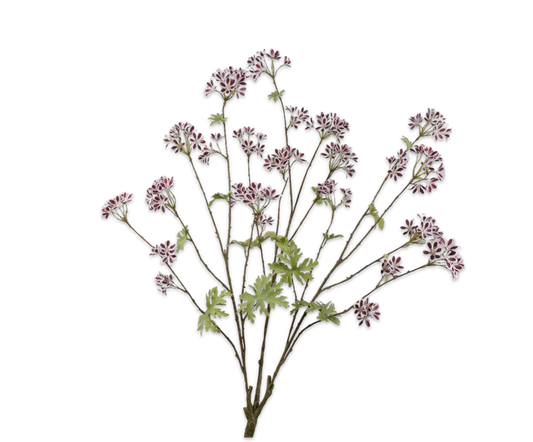 Zijde Geranium Bord/Wit 100cm