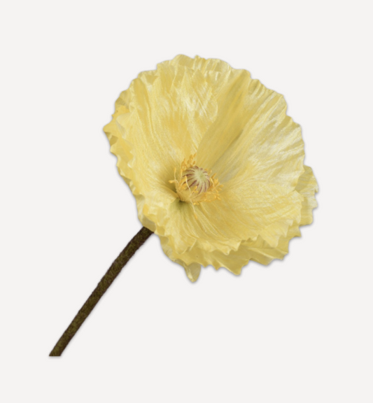 Zijde klaproos Geel