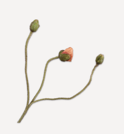 Zijde klaproos knop Peach