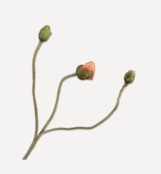 Zijde klaproos knop Peach