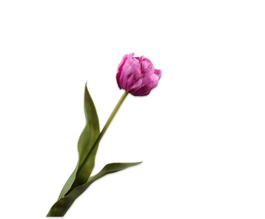 Zijde Tulp Paars 47 cm