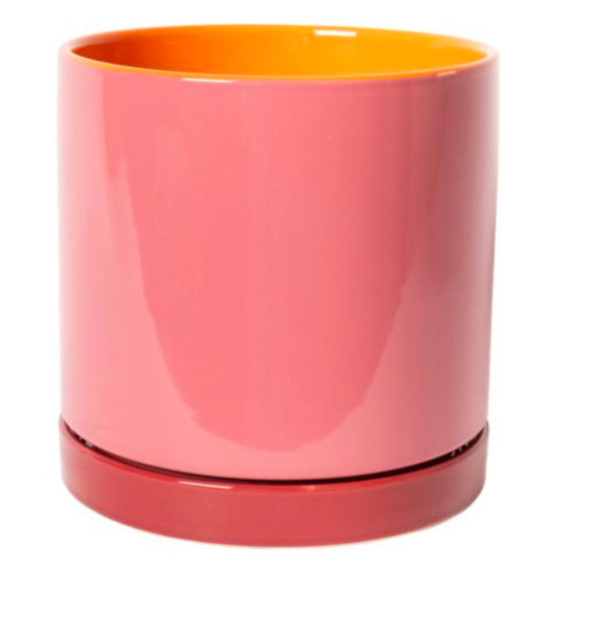 Bloempot Roos Rood Oranje M