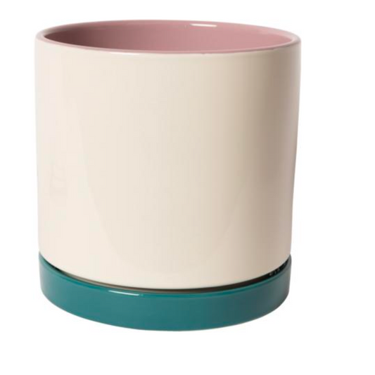 Bloempot Wit Petrol roos XS