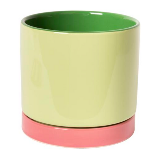 Bloempot Munt Roos Groen XS