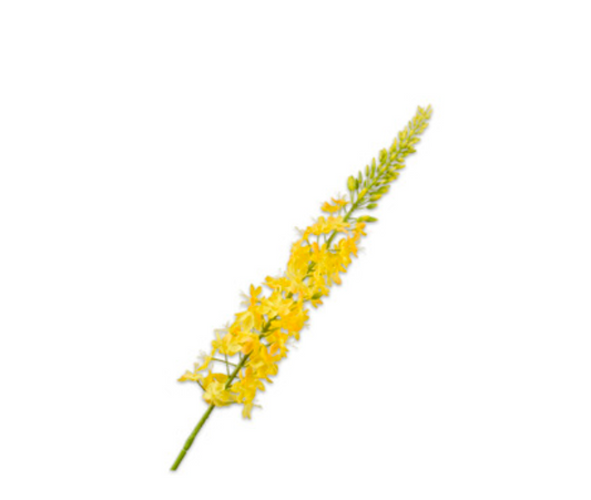 zijde eremurus geel 107
