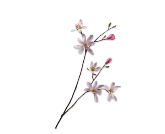 Zijde Magnolia