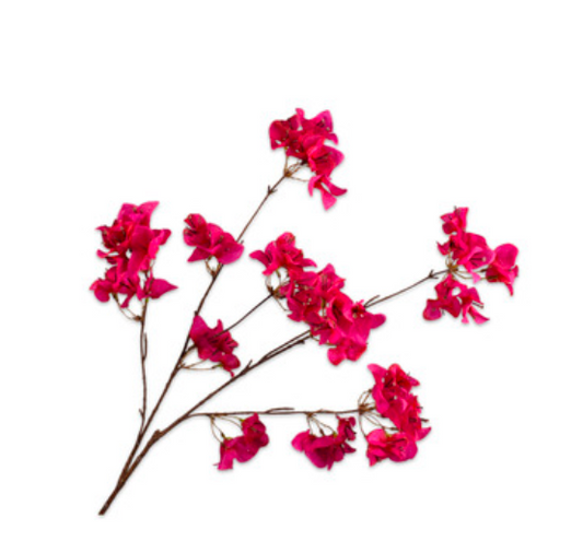Zijde bougainvillea Rood