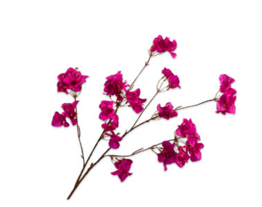 Zijde bougainvillea Fusia