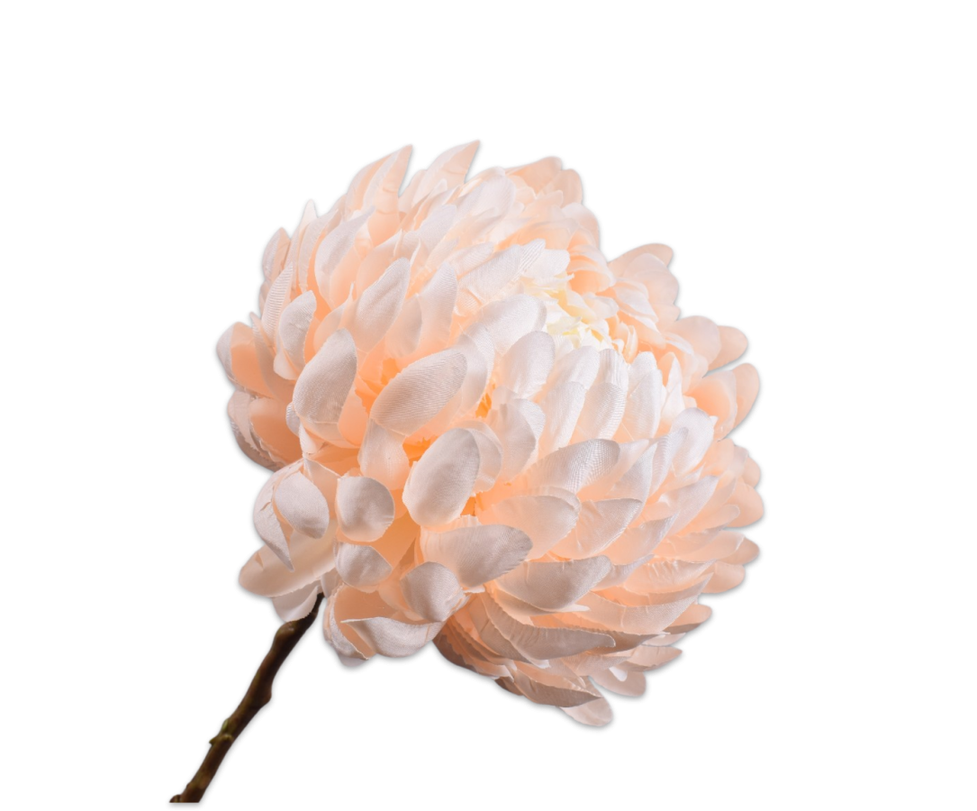Zijde Chrysant Perzik 64 cm