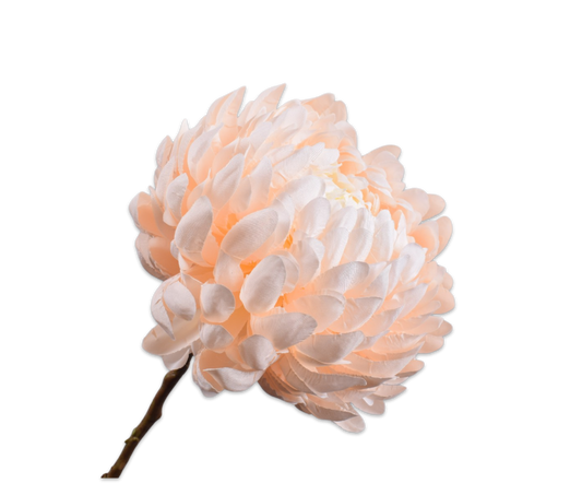 Zijde Chrysant Perzik 64 cm