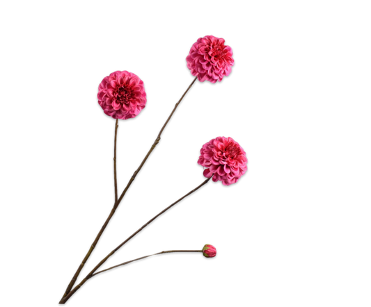 Zijde Dahlia Fel roos 103 cm